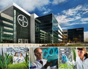 Компанія Bayer