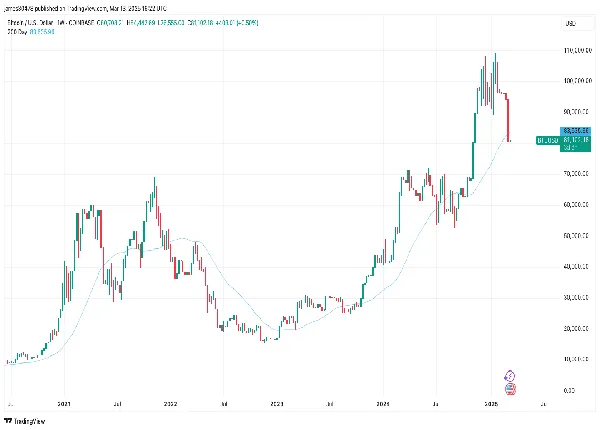 Chart of the bitcoin price (TradingView)