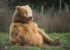 Bitcoin's bull run is over, CryptoQuant says. (Mark Basarab/Unsplash)