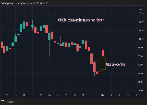 CME Bitcoin March futures gap higher. (TradingView)