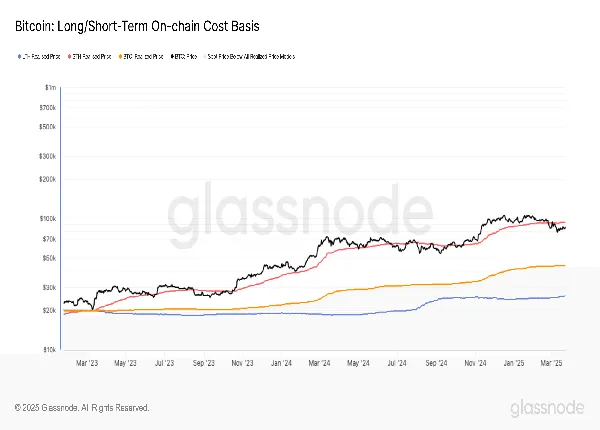 Long/Short Term On Chain Cost Basis (Glassnode)