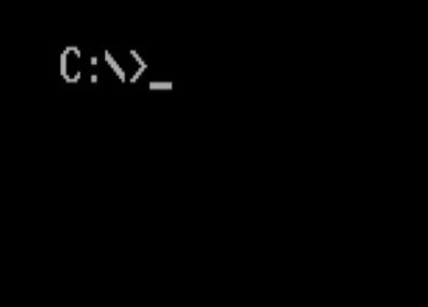 An MS-DOS command line prompt showing the C drive