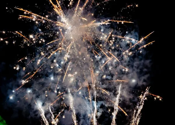 Fireworks explode in the night sky. (photogrammer7/Pixabay)